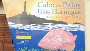 Réserve naturel en mer