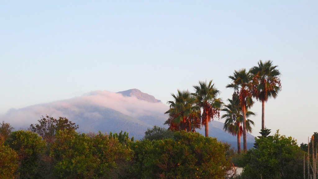 Levée du jour sur La Sierra de las Nieves, devant le Cortijo ... Grandiose !