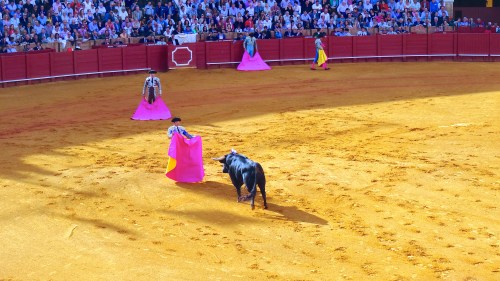 Les "Peones" fatiguent le vaillant toro