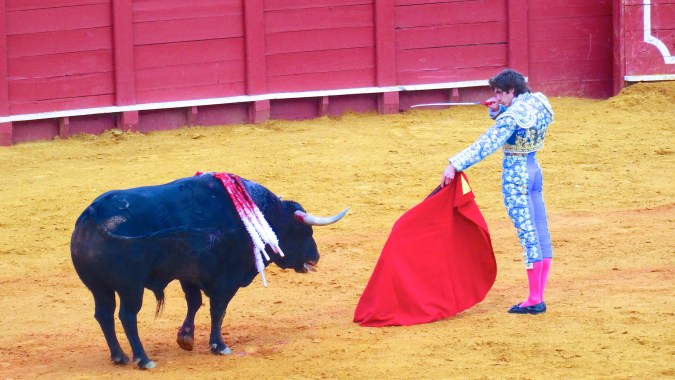 Le "Matador" annonce à la foule qu'il portera le coup fatal a l'animal déjà très affaibli