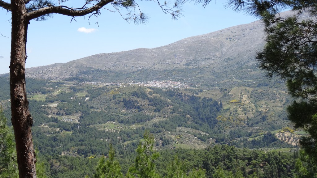 Campagne montagneuse du centre de l'île