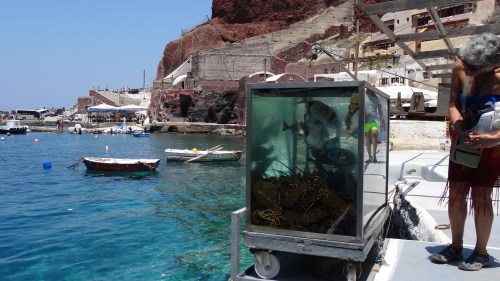 Aquarium d'arrivage de poissons, n'attendant que d'être choisi ... et déguster 