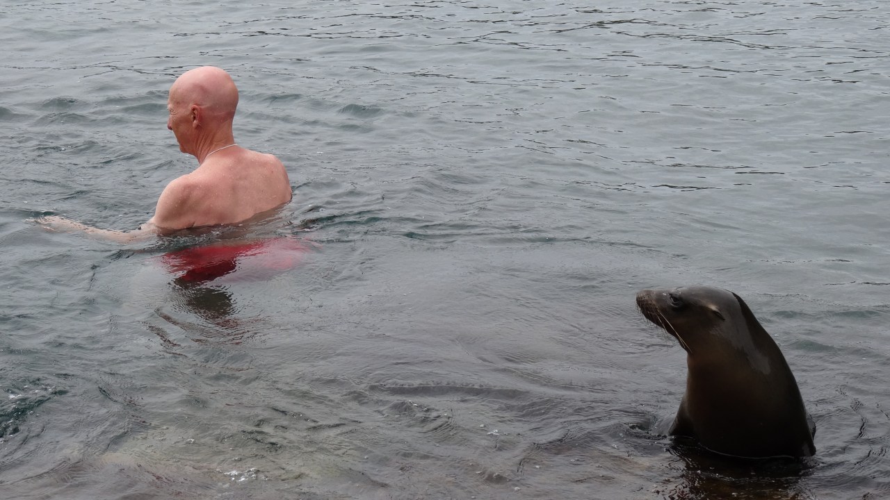 Les Galápagos: jouer avec les otaries&nbsp;!