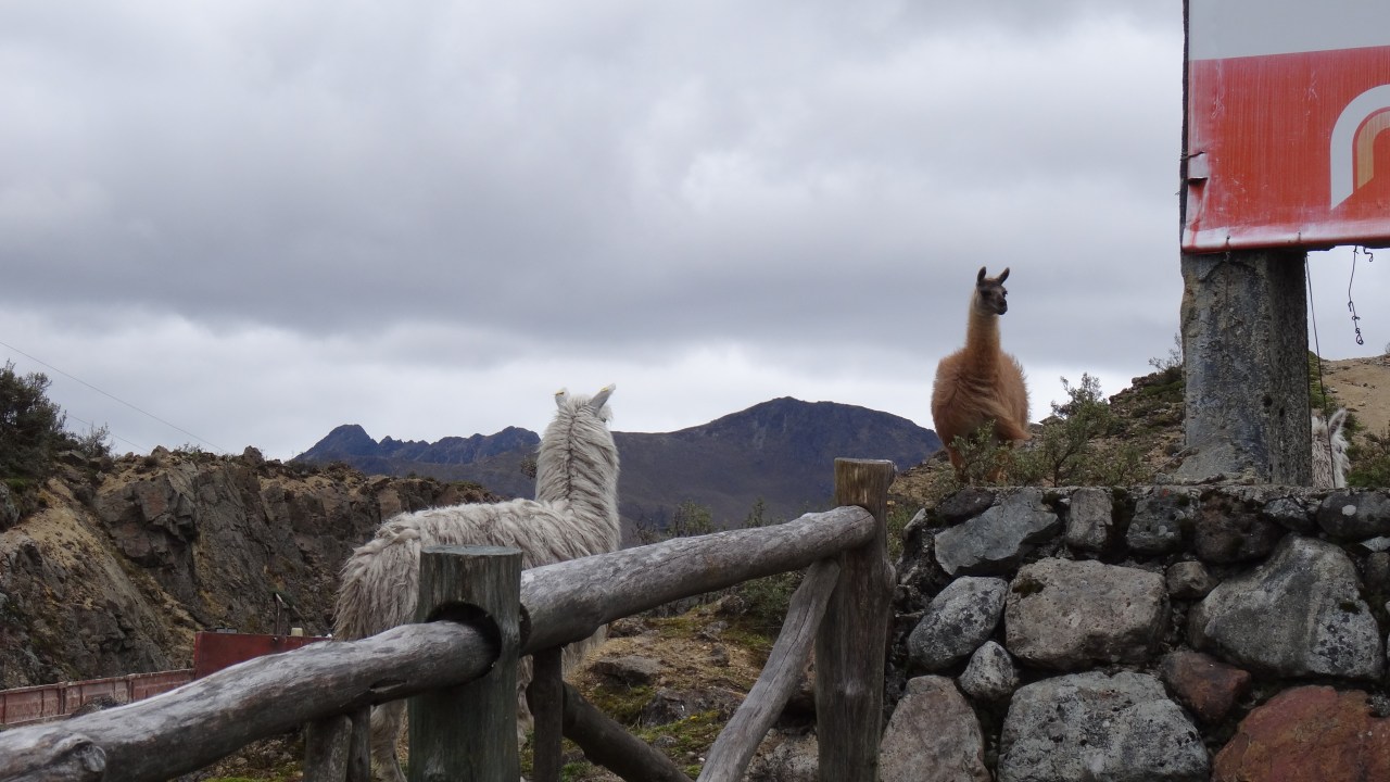 Trek à 4 000m. et&nbsp;Baños