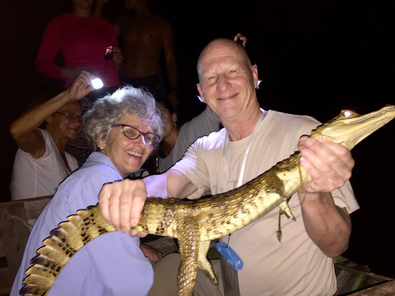 Caïman de 1,5 m. pris à la volée 